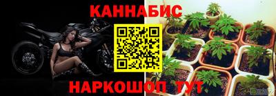 Альфа ПВП Северобайкальск
