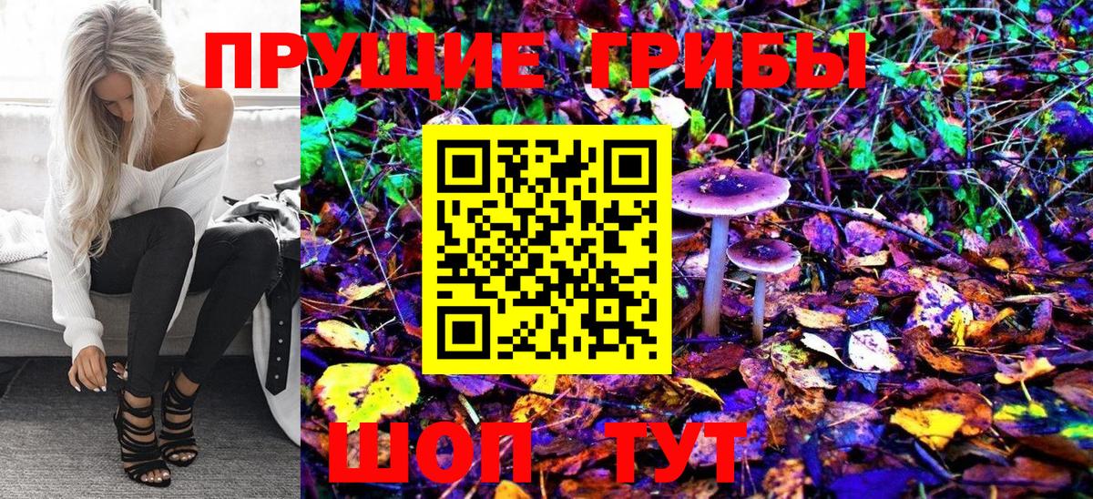 Псилоцибиновые грибы Magic Shrooms Сарапул